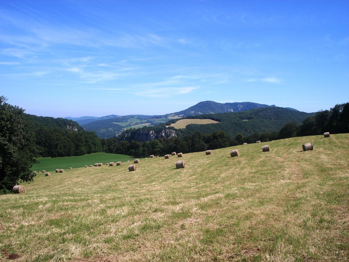 Domaine Et Chambres D'Hotes Des Fees Pretin Bagian luar foto